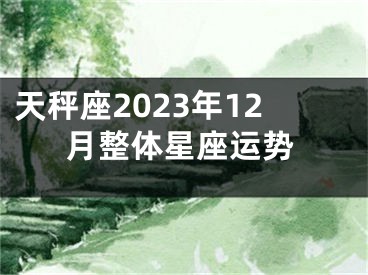 天秤座2023年12月整体星座运势
