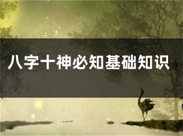 八字十神必知基础知识