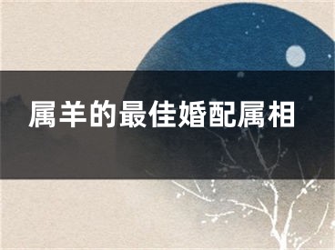 属羊的最佳婚配属相