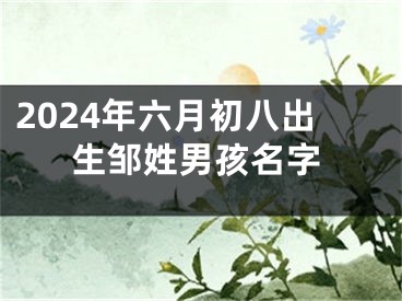 2024年六月初八出生邹姓男孩名字