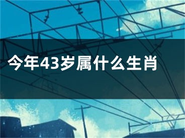 今年43岁属什么生肖