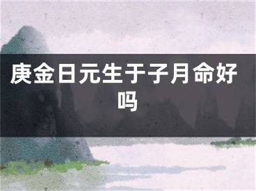 庚金日元生于子月命好吗