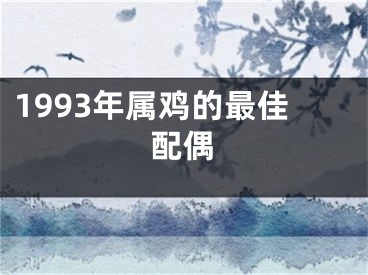 1993年属鸡的最佳配偶