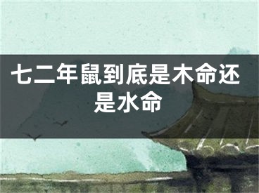 七二年鼠到底是木命还是水命