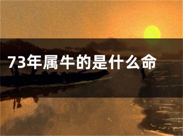 73年属牛的是什么命
