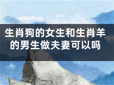 生肖狗的女生和生肖羊的男生做夫妻可以吗