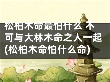 松柏木命最怕什么 不可与大林木命之人一起(松柏木命怕什么命)