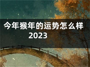 今年猴年的运势怎么样2023