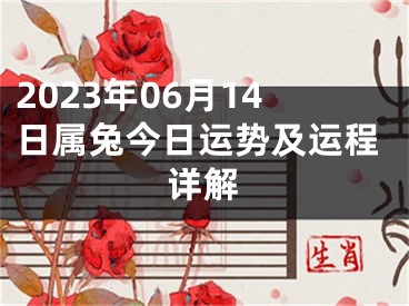 2023年06月14日属兔今日运势及运程详解