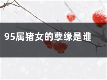 95属猪女的孽缘是谁