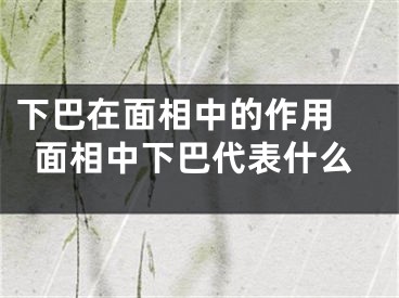 下巴在面相中的作用 面相中下巴代表什么