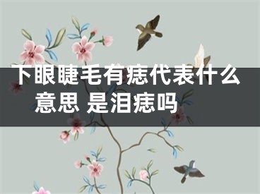 下眼睫毛有痣代表什么意思 是泪痣吗 