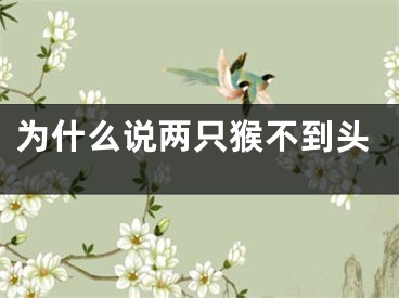 为什么说两只猴不到头