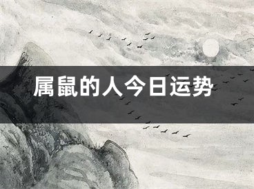 属鼠的人今日运势