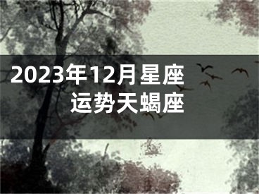 2023年12月星座运势天蝎座