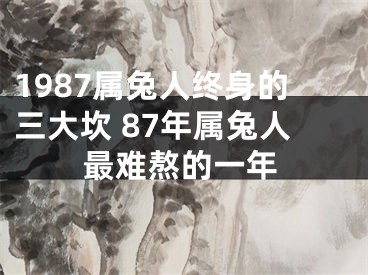 1987属兔人终身的三大坎 87年属兔人最难熬的一年