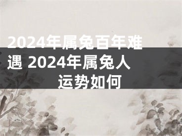 2024年属兔百年难遇 2024年属兔人运势如何