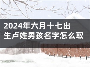 2024年六月十七出生卢姓男孩名字怎么取