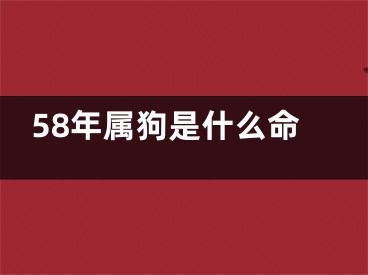 58年属狗是什么命