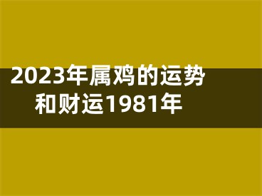 2023年属鸡的运势和财运1981年