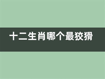 十二生肖哪个最狡猾