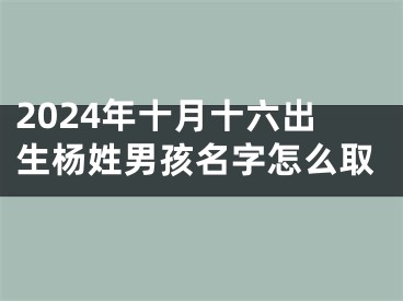 2024年十月十六出生杨姓男孩名字怎么取