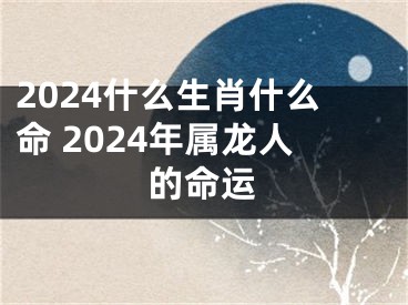 2024什么生肖什么命 2024年属龙人的命运