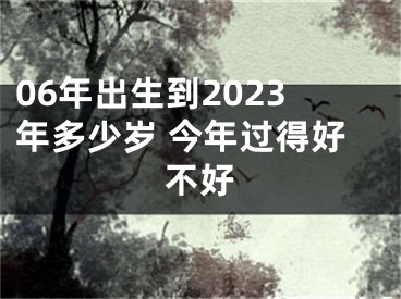 06年出生到2023年多少岁 今年过得好不好