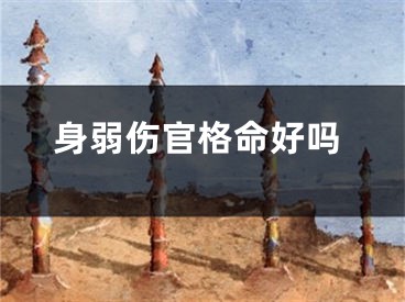 身弱伤官格命好吗