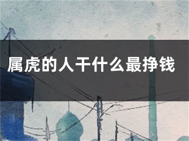 属虎的人干什么最挣钱
