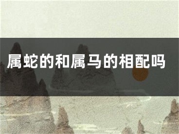 属蛇的和属马的相配吗