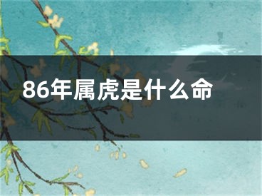 86年属虎是什么命
