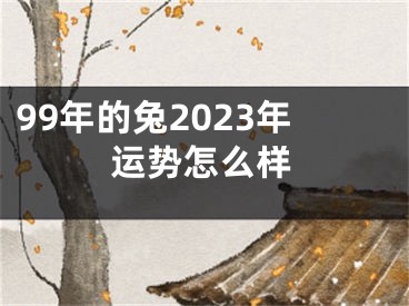 99年的兔2023年运势怎么样