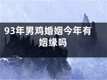 93年男鸡婚姻今年有姻缘吗