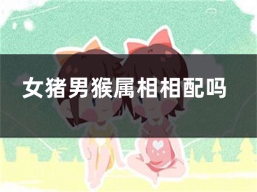 女猪男猴属相相配吗