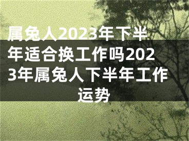 属兔人2023年下半年适合换工作吗2023年属兔人下半年工作运势