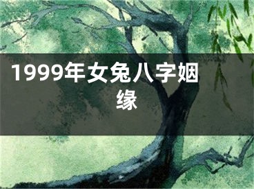 1999年女兔八字姻缘
