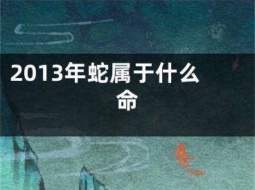 2013年蛇属于什么命