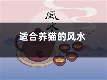 适合养猫的风水