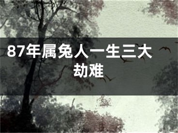 87年属兔人一生三大劫难