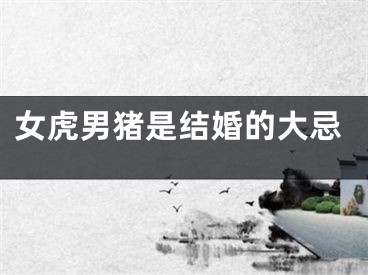 女虎男猪是结婚的大忌