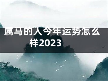 属马的人今年运势怎么样2023