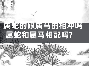 属蛇的跟属马的相冲吗 属蛇和属马相配吗?