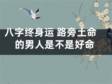 八字终身运 路旁土命的男人是不是好命