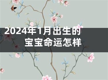 2024年1月出生的宝宝命运怎样