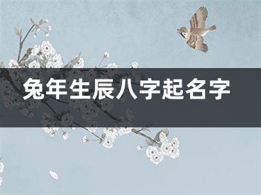 兔年生辰八字起名字