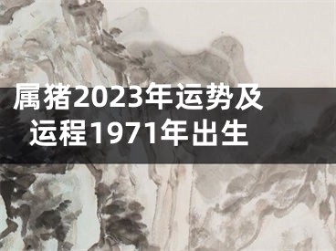属猪2023年运势及运程1971年出生