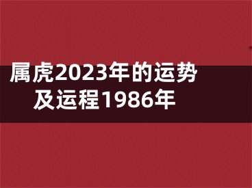 属虎2023年的运势及运程1986年