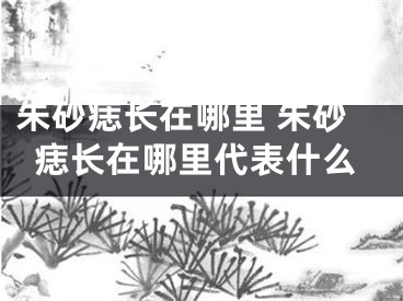 朱砂痣长在哪里 朱砂痣长在哪里代表什么