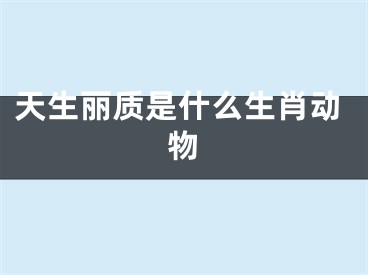 天生丽质是什么生肖动物